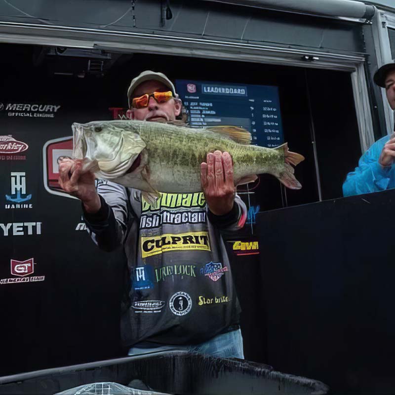 Culprit (Big Bass)