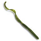 The Culprit Original Worm in Watermelon Candy color on a white background