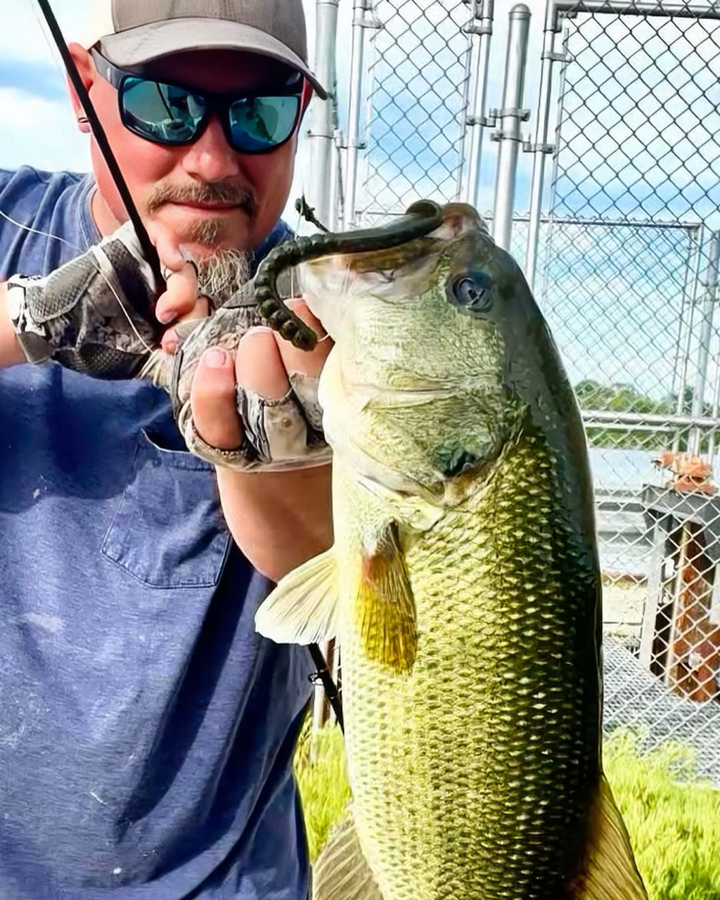 Matt Koser wearing sunglasses and a blue shirt holds up a largemouth bass fish with a Culprit Fat Max fishing lure in its mouth, with a chain-link fence and outdoor background.