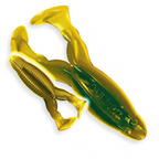 The Culprit Incredi-Frog worm in Black Gold Belly color on a white background