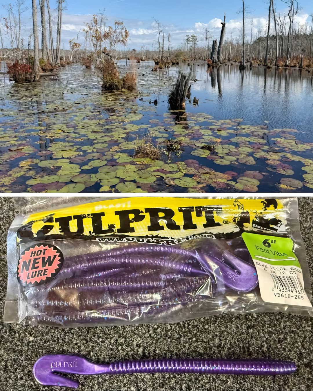 A split image showing a real outdoor swamp scene on top and a packaged fishing lure on pavement below. The lure package reads Gulprit and shows a purple segmented soft plastic swimbait.