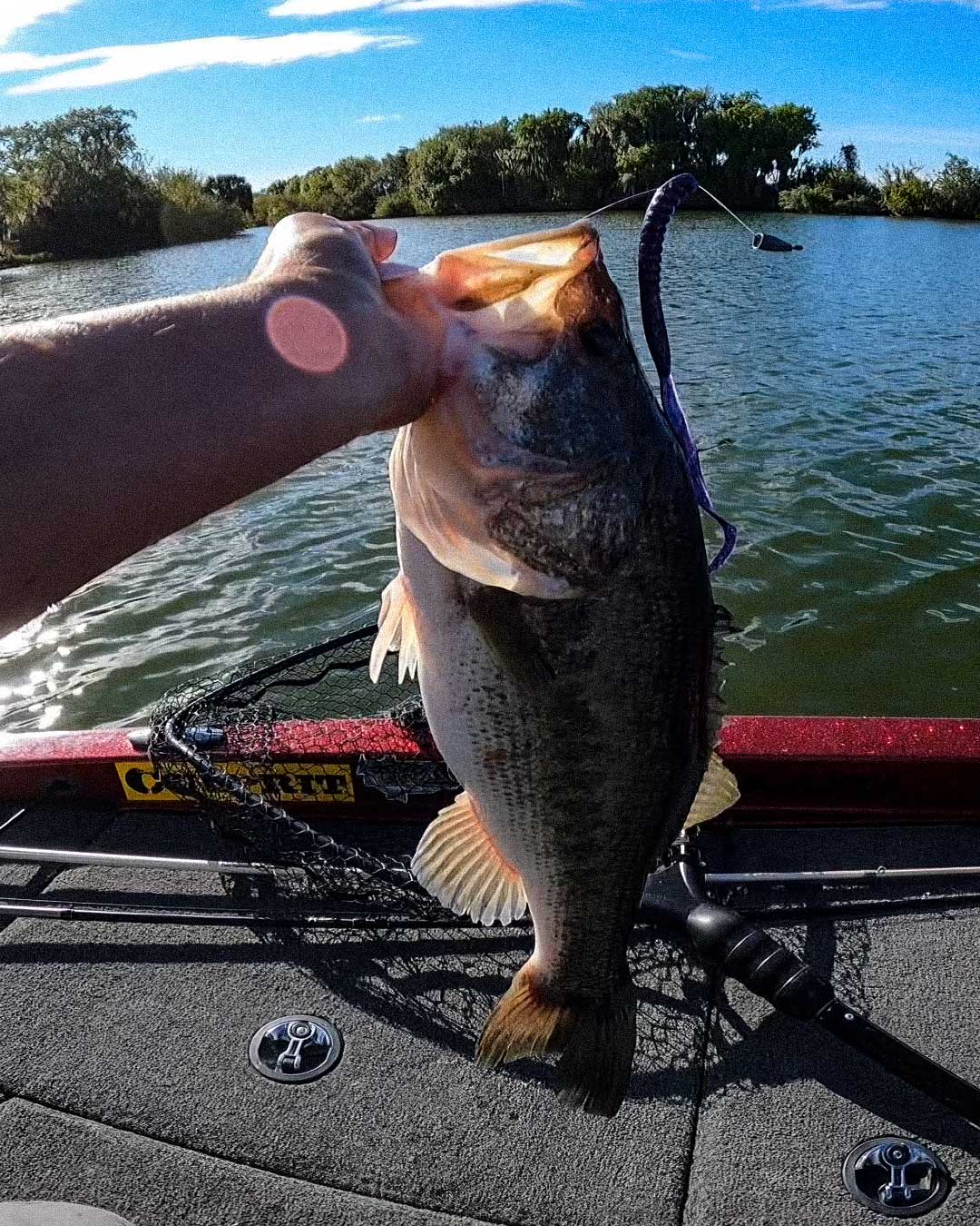 Daniel Bridges holds a freshly caught largemouth bass on a boat, with water, trees, and blue sky in the background. The bass has a Culprit Original Worm fishing lure in its mouth.