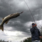 Jonathan Mickler wearing sunglasses and a dark jacket near a grassy shore holding a fishing rod, with a large fish caught with a Culprit Shakin Neko Craw leaping through the air toward the boat under a dramatic cloudy sky.