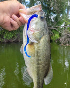A largemouth bass is held by Snappfishing near its mouth, with a Electric Blue Lightnin Original Culprit worm fishing lure visible in its mouth, set against a background of green water and trees.