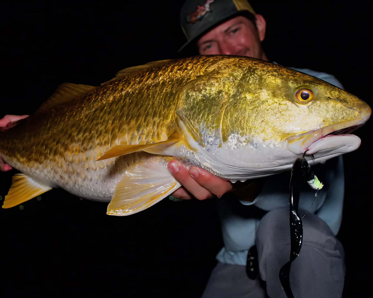 Sawyer Martin holding a large redfish against a dark night background. The fish has a metallic gold and yellow body with a white underside.