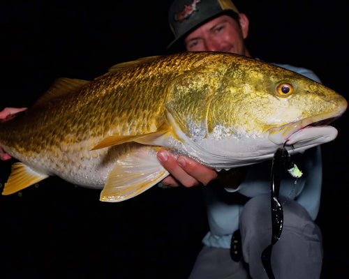 Sawyer Martin holding a large redfish against a dark night background. The fish has a metallic gold and yellow body with a white underside.