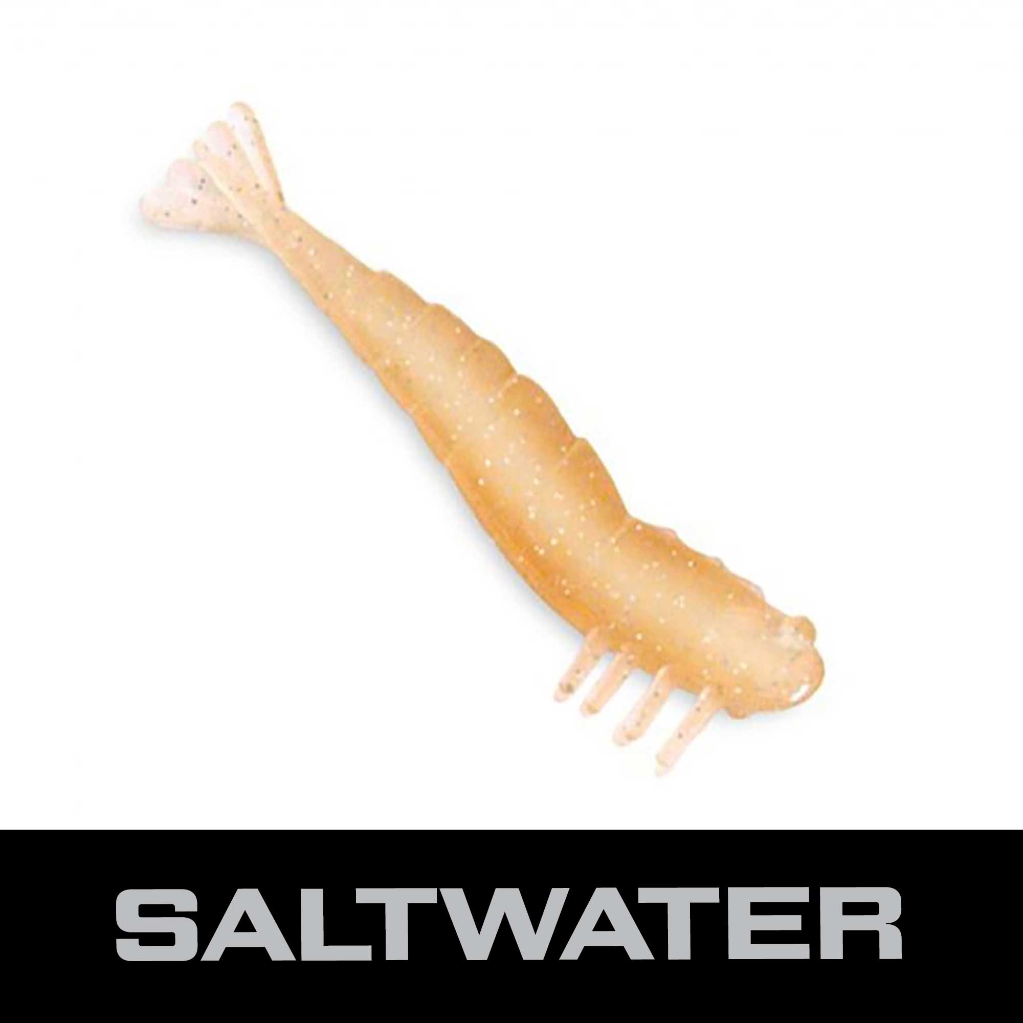 saltwater-real-shrimp