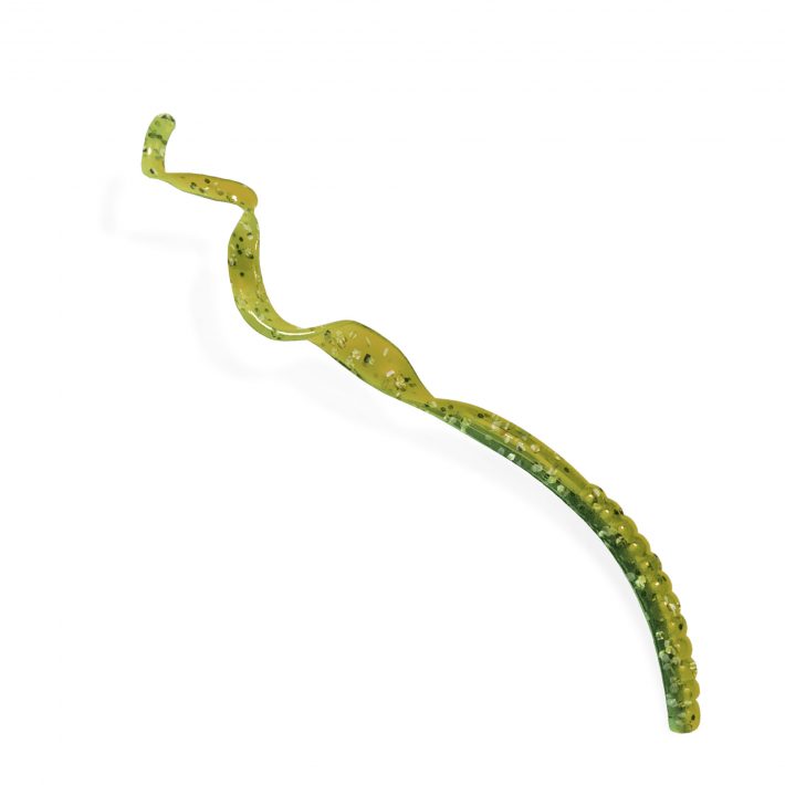 6-inch-worm