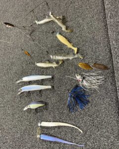 My Top picks for December Bass fishing!